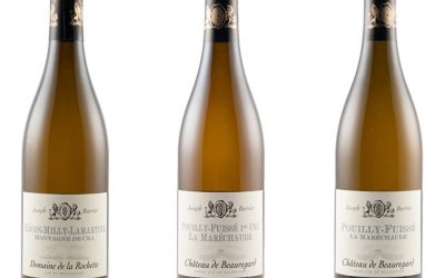 Glory to the great wines of Burgundy