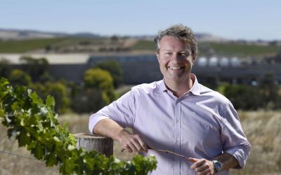 Taylors wine captures the taste of consumers